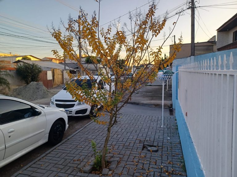 Casa – Bairro Cajuru – R$ 280.000,00 Casa – Bairro Cajuru – R$ 280.000,00