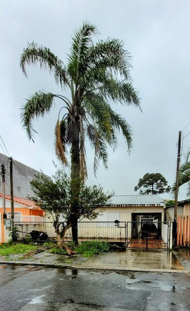 Terreno na Vila Hauer, 560m2 – R$ 699.000 Terreno na Vila Hauer, 560m2 – R$ 699.000