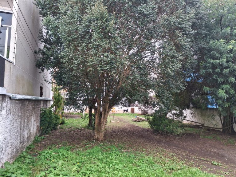 Casa com terreno em Pinhais – R$ 600.000,00 Casa com terreno em Pinhais – R$ 600.000,00