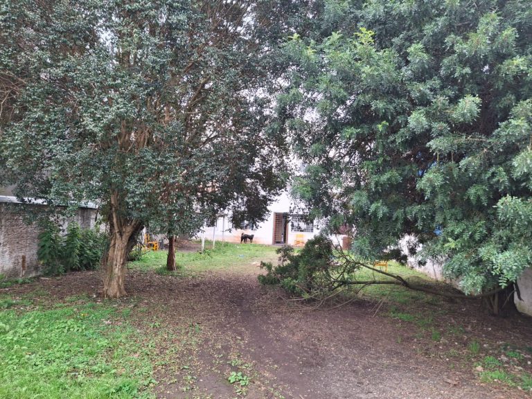 Casa com terreno em Pinhais – R$ 600.000,00 Casa com terreno em Pinhais – R$ 600.000,00