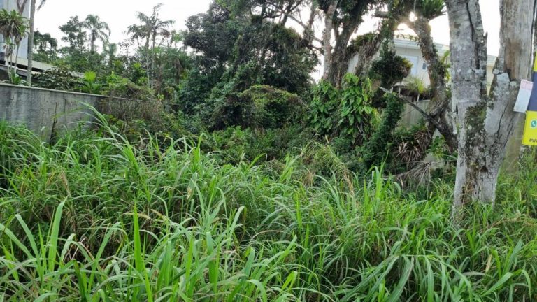 Terreno · 450m² – Rosa dos Ventos, Itapoá
